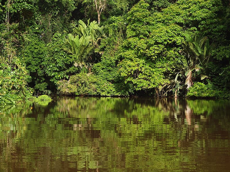 Tortuguero National Park