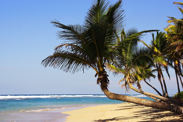 punta cana, bavaro, beach