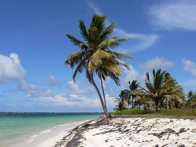 dominican republic, punta cana, beach