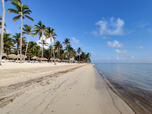 pages, caribbean, coconut